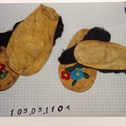 Cover image of Beaded Moccasins